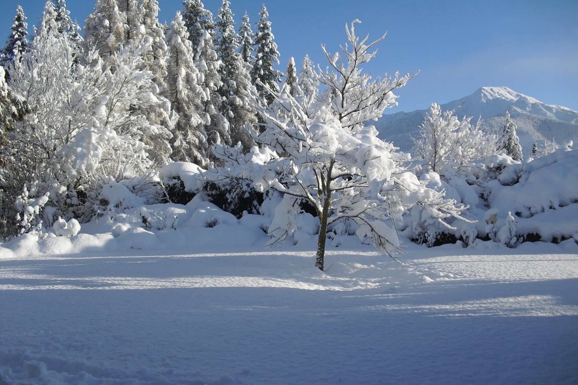 Bed and Breakfast Marchmont Gardens Hanmer Springs Exterior foto