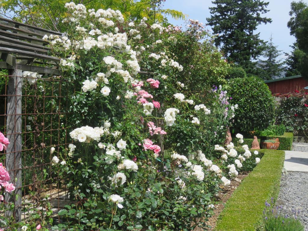 Bed and Breakfast Marchmont Gardens Hanmer Springs Exterior foto
