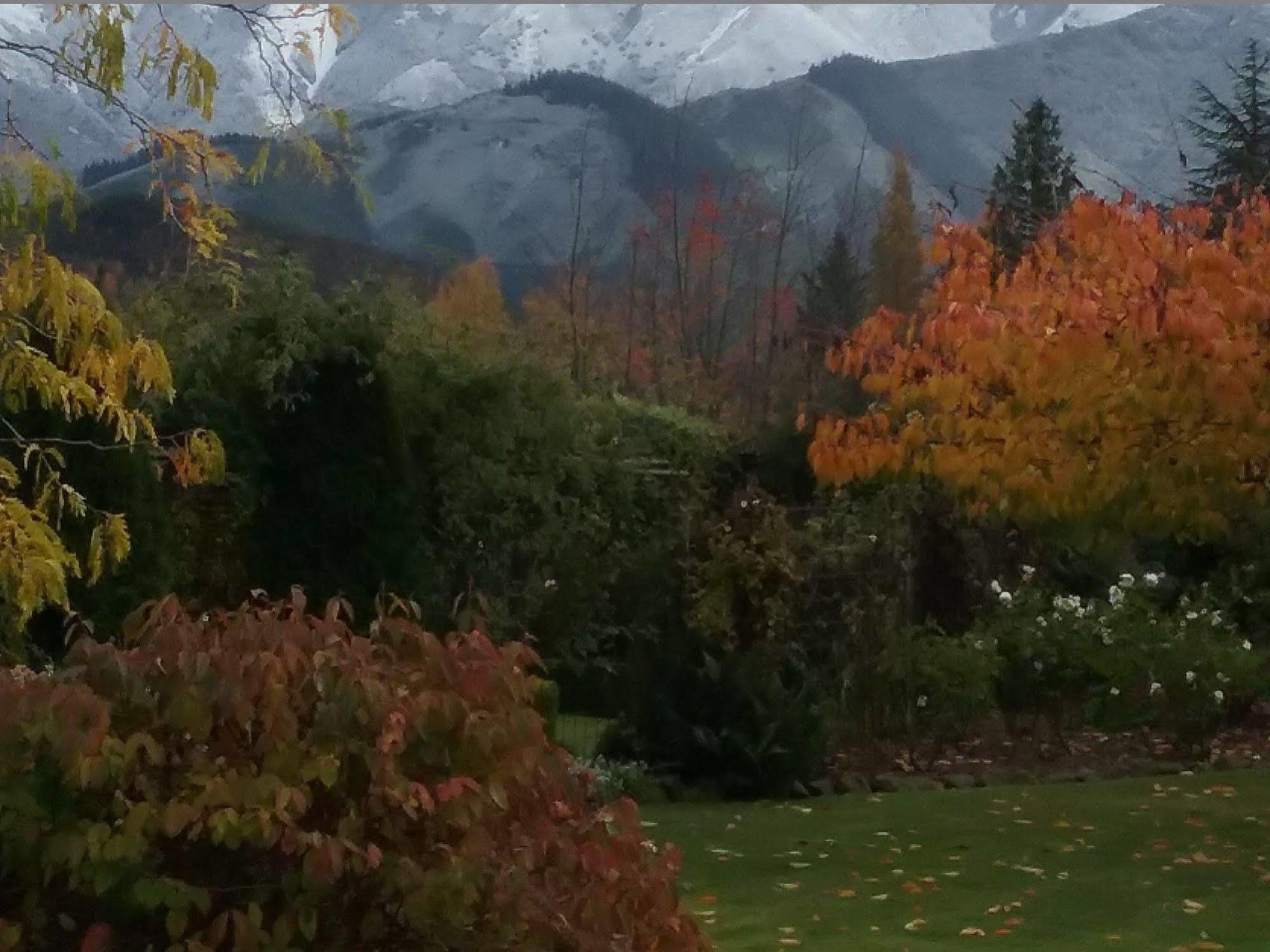 Bed and Breakfast Marchmont Gardens Hanmer Springs Exterior foto