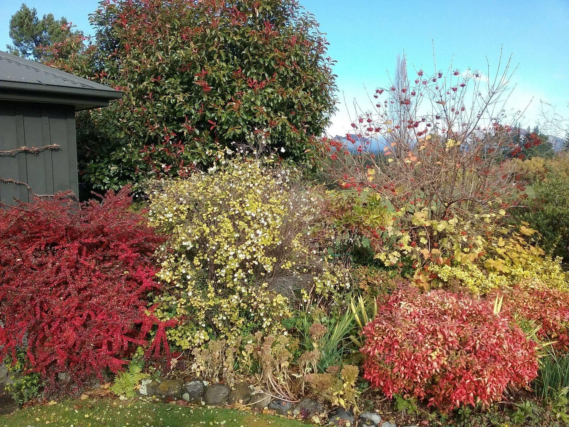 Bed and Breakfast Marchmont Gardens Hanmer Springs Exterior foto
