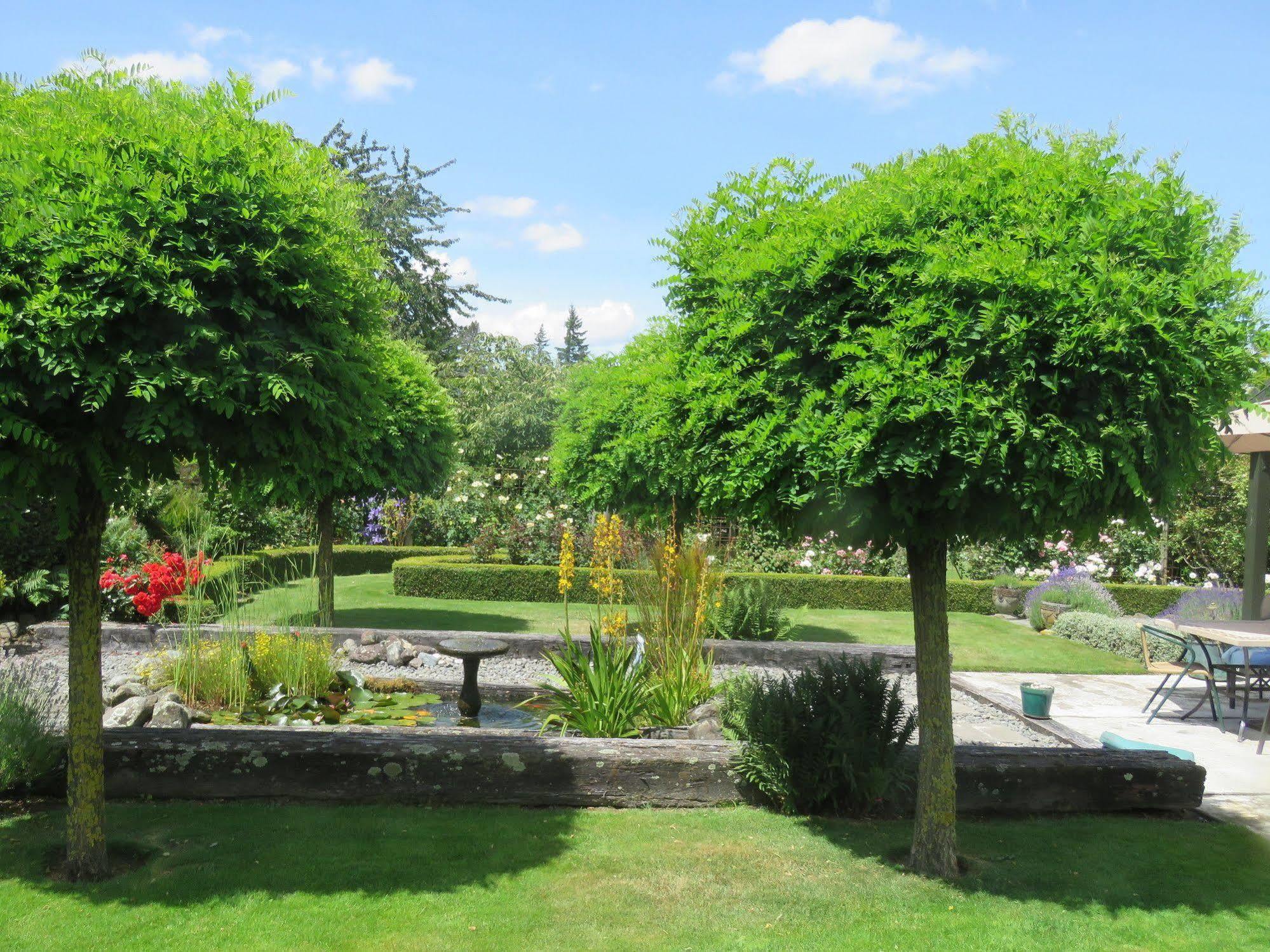 Bed and Breakfast Marchmont Gardens Hanmer Springs Exterior foto